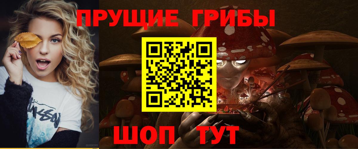 Дубна  Галлюциногенные грибы Magic Shrooms  Вход с VPN 