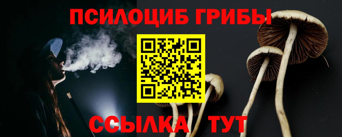 Галлюциногенные грибы MAGIC MUSHROOMS Дубна